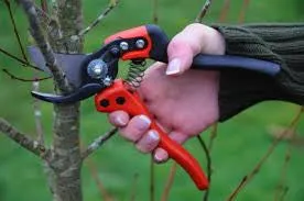 Bahco PX & PG Ergonomic Pruner Shears