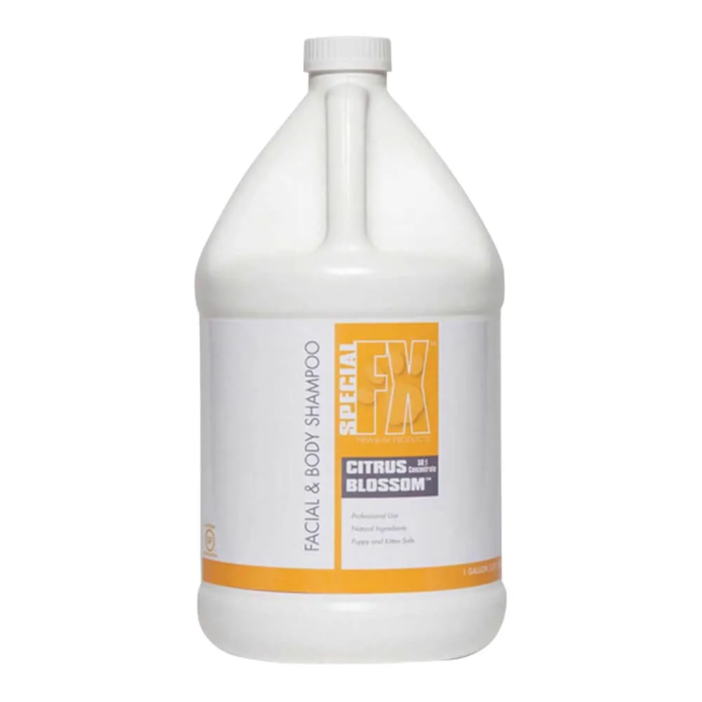 Citrus Blossom Facial & Body Shampoo, 50:1, Gallon