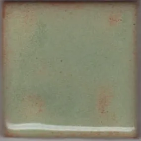 Coyote MBG068 Light Green Shino Glaze