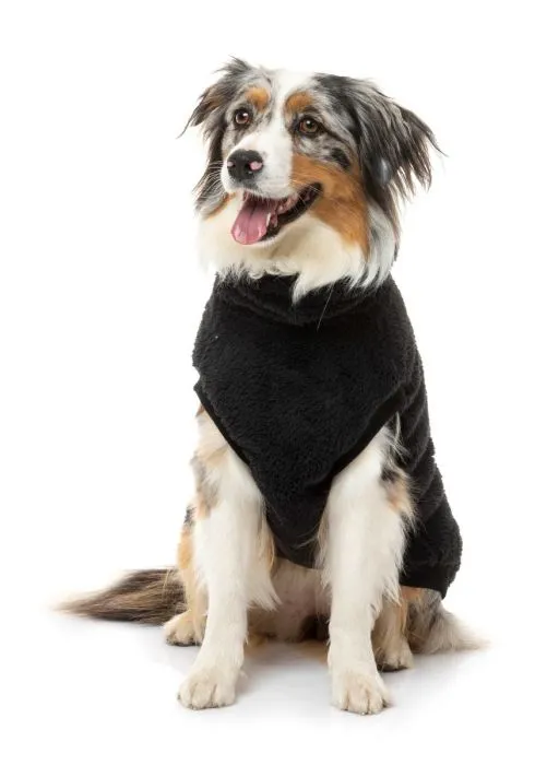 FUZZYARD TURTLE TEDDY SWEATER : BLACK