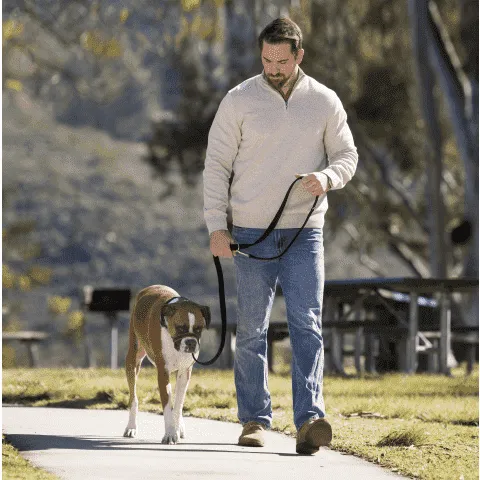 Halti Optifit Headcollar