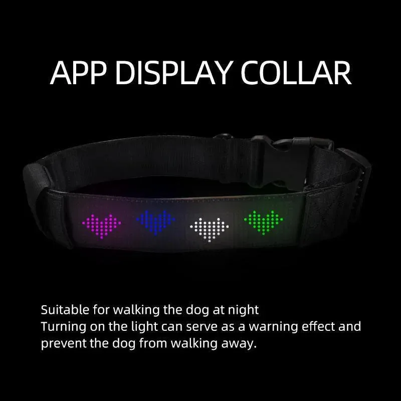 Smart Paws LED Dog Collar