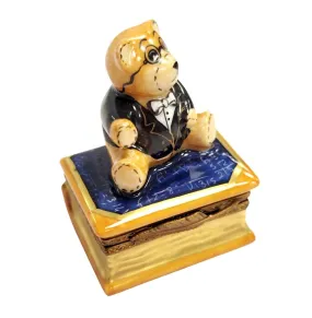 Teddy Bear on Math Book